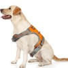 Adjustable Pet Orange Blue Chest Strap Outdoor Activities High Visibility