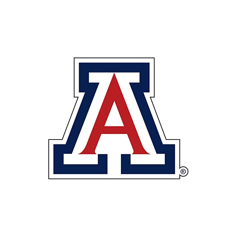 Arizona Wildcats Magnet (A MAGNET (3",6",12",18"), 6 in)