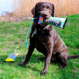 KONG Bunji High-Viz Brightly Colored Bumper - Heavy Duty Firehouse Material Dog Toy
