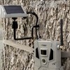 Bushnell CelluCORE 20 Solar Trail Camera, Low Glow Hunting Game