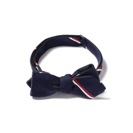 Beams Plus Men's Necktie, Wide Regimental Bowtie, navy