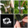 Pack of 100 Plant Clips, Plant Clips, Tomato Clips, Tomato