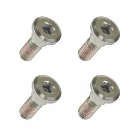 Honda 4 Front or Rear Disc Bolt Fits Honda NSS250 NSS250A NSS250S Reflex 250 2001-2007