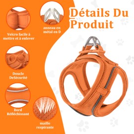 Qianruida Dog Harness, Step-in Harness for Dogs with Lead, Harness and Leashes for Cats, Breathable, Easy to Control, with Reflective Strips (Orange XXS)