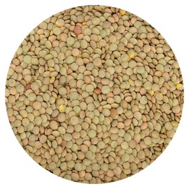 Green Lentils, 2.5 Pound Bulk Bag