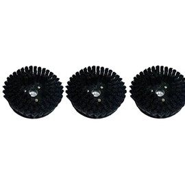 Replacement Brushes for Electrolux B9, Includes a Set of 3 Brushes OEM # 42828