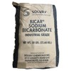 In The Swim In The Swim Solvay Bicar Sodium Bicarbonate Alkalinity Up, 50 lbs. 81292