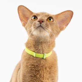 BuddyArmor Safety Cat Collar - U.S. IDA Gold Awarding Design, Stretch Elastic Quick Release, Non Breakaway - Light Weight for Kitten, Neck Fit 5.9'-11.8' for All Small Large Cat,S(Cocoa)