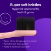 BURST Genuine Replacement Heads for Original Sonic Electric Toothbrush (Rose