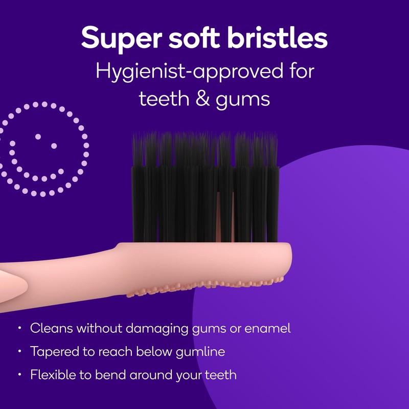 BURST Genuine Replacement Heads for Original Sonic Electric Toothbrush (Rose