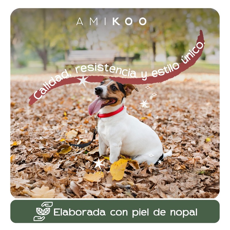 AMIKOO | Collar para Perro | Diseño Artesanal Mexicano |