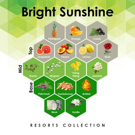 Bright Sunshine 4 oz Refill for Oil Diffuser with Orange, Jasmine, Vanilla, & More Notes