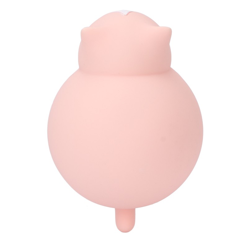 Cat Hot Water Bottle Silicone Cute Water Injection Mini Portable
