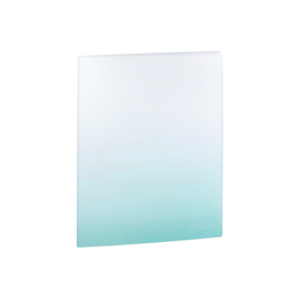 Idena 12116 Display Book A4 with 20 Transparent Pockets, Plastic