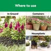 Miracle-Gro Shake 'N Feed All Purpose Plant Food, For In-Ground