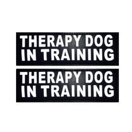 Doggie Stylz Set of 2 Reflective Therapy Dog in Training Removable Patches with Hook Backing for Working Dog Harnesses & Vests. Durable and Interchangeable - (Large 6" X 2")