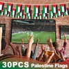 Palestine String Flag Pennant Banner, Small Mini Palestinian Flags Bunting