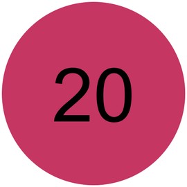 Catrice Pure Pigments Lip Lacquer 020