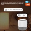 Tuya WiFi Intelligent Switch Portable Home Automation DIY Breaker Timing
