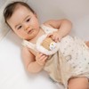 Nattou Small Comforter Doudou Lion FLO, OLI, ERNEST, 19 cm,