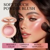 PHOFAY Luminous Blush Powder-Multi-Use Formula, Ultra-Fine & Smooth, Longer-Lasting Wear