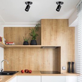 Globe Electric 57498 Pratt 1-Light Track Lighting Spotlight, Matte Black, Bulb Not Included