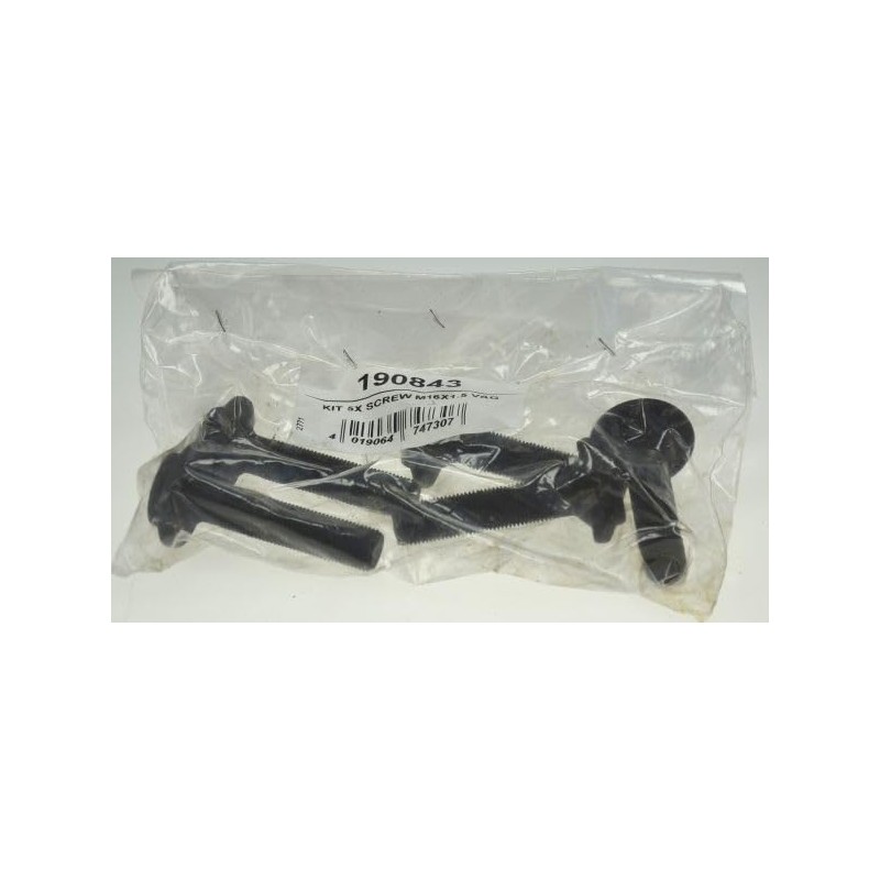 SPIDAN 190843 Axle Bolt, Drive Shaft Front Wheel Drive