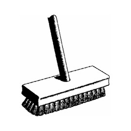 DQB 11938 7-3/4 Palmyra Brush