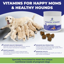 PREGNAPAWS Dog Prenatal Vitamins - Advanced Prenatal Supplement for Pregnant and Nursing Dogs - Supports Healthy Pregnancy, Puppy Development & Lactation - Rich in Folic Acid, Iron & Calcium - 90 Soft Chews