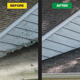 PressureTek Elemonator: House Wash Surfactant for Siding, Roof and Concrete Cleaning, Bleach Additive, Soft Wash Soap, 1 Gallon (1)