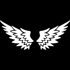 Decal Stickers of Wings (White) (Set of 2) Premium Waterproof Vinyl Decal Stickers for Laptop Phone Accessory Helmet Car Window Mug Tuber Cup Door Wall Decoration - ANDsticd91010WH