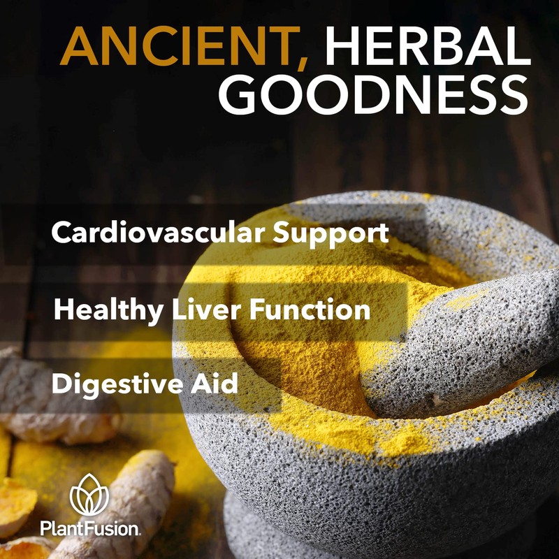 PlantFusion Turmeric and Ginger Drink Mix - Fermented Whole Food