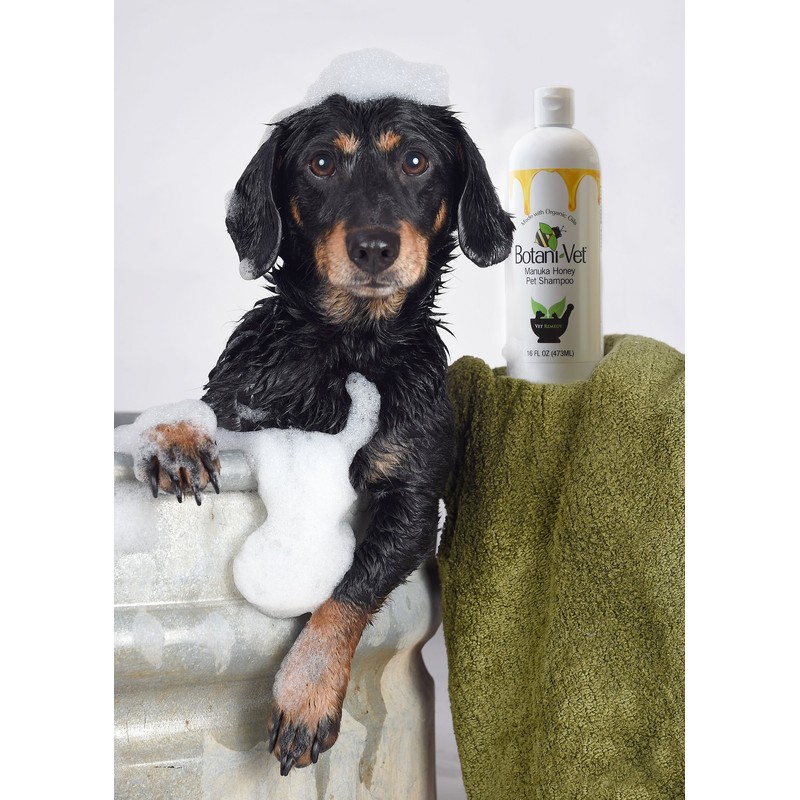 BotaniVet Certified Organic Manuka Honey Pet Shampoo 16 Oz -