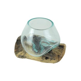 Things2Die4 Blown Molten Glass On Teak Driftwood Decorative Bowl/Mini Terrarium
