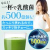 Diet Smoothie, 7.1 oz (200 g), Lactic Acid Bacteria Cleanse