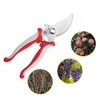 Stainless Steel Pruning Shears Multifunctional Garden Shears Orchard Flower Branch