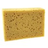 Universal Sponge 155 x 110 x 60 mm (10 x