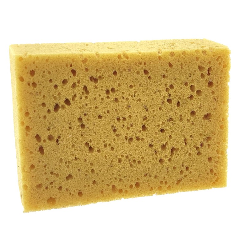 Universal Sponge 155 x 110 x 60 mm (10 x