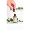 Ore Set de Productos de Orégano Natural, Aceite 30ml, Perlas
