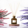 PRISTINE Lavender Dream Reed Diffuser for Home | Fresh Lavender