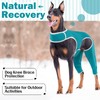 Hjyokuso Recovery Suit For Dogs - Leg Surgery Suit, Lick