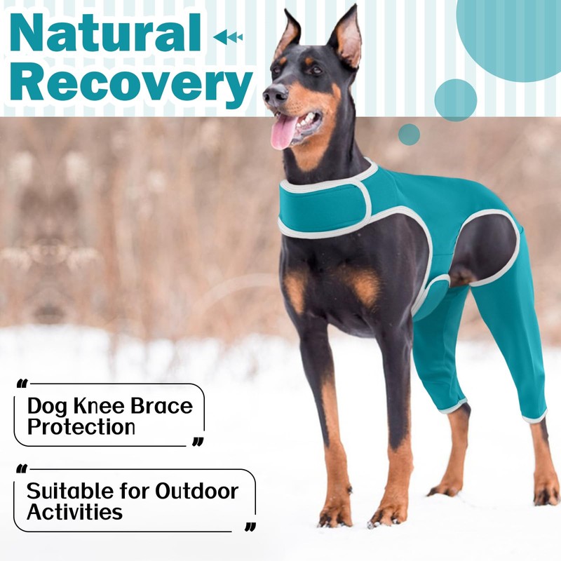 Hjyokuso Recovery Suit For Dogs - Leg Surgery Suit, Lick