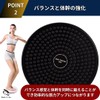 RekiLife Twist Board Spin Board Tummy Slimming Torsion Waist Balance