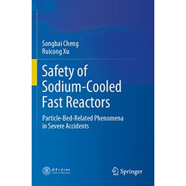 Safety of Sodium-Cooled Fast Reactors: Particle-Bed-Related Phenomena in Severe Accidents