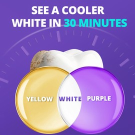 Professional Teeth Whitening Strips | 28 Strips (1 Pack) | Enamel Safe, Low Sensitivity, Non-Slip Dry Strip Technology | 90-Day Long-Lasting Results