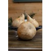 Dried Martin Gourds (3-Pack) - 5" in Diameter, Ready for