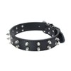FUNAT Double Row Pet Collar with Studs, Rivet Collar for