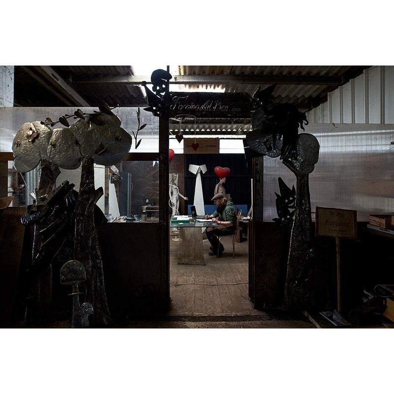 Iron Forge Eternal "Beauty and the Beast" Rose (Red/Silver)