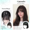 Fine Plus Fluffy Wispy Clip in Fringe, 18 Inch 360°
