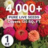 Zinnia Lilliput Mix - Large 1 Ounce Packet - 4,000